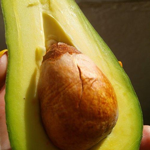 Photo #3279191