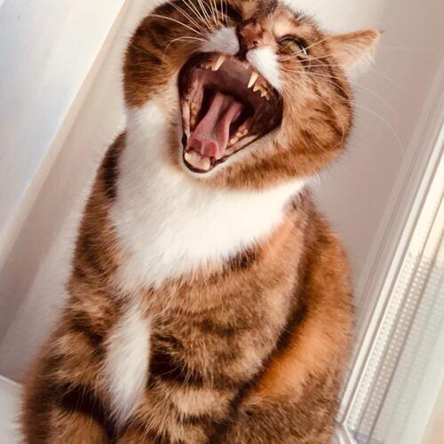 Photo #3279272