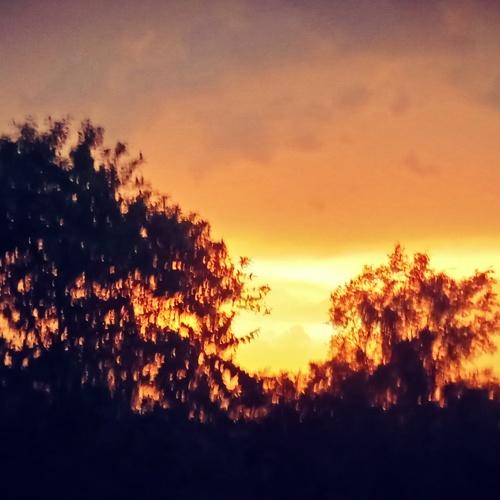 Evening Sunset After rain