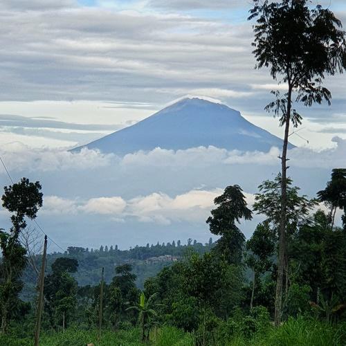 Merapi mount and the farmer