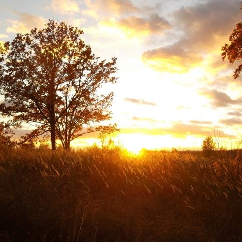 Photo #3280638