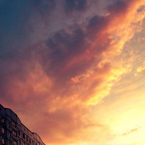 Photo #3280639