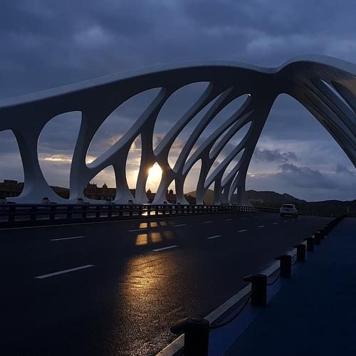 Coral - shaped bridge