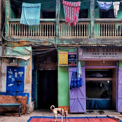 Colours on the streets of Kolkata