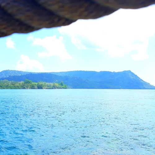 A View of the Mountain from the Coast
