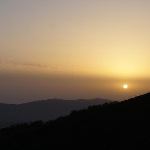 Photo #3284509