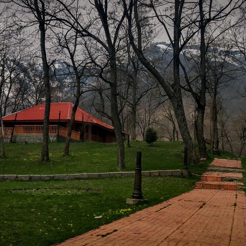 Landscape on phone