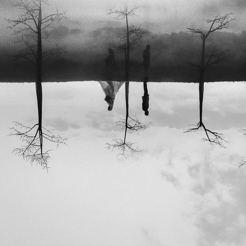 Moody Reflection