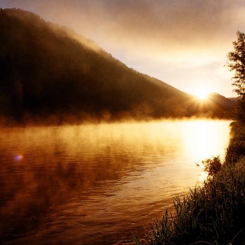 Photo #3286204