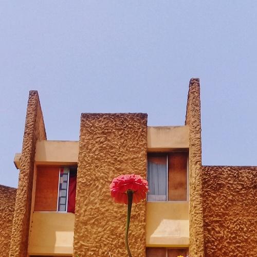 Photo #3286693