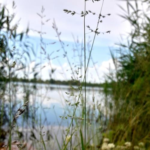 Речная красота