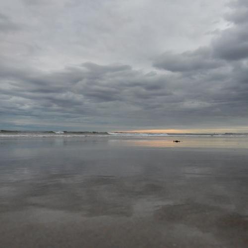 Calm ocean