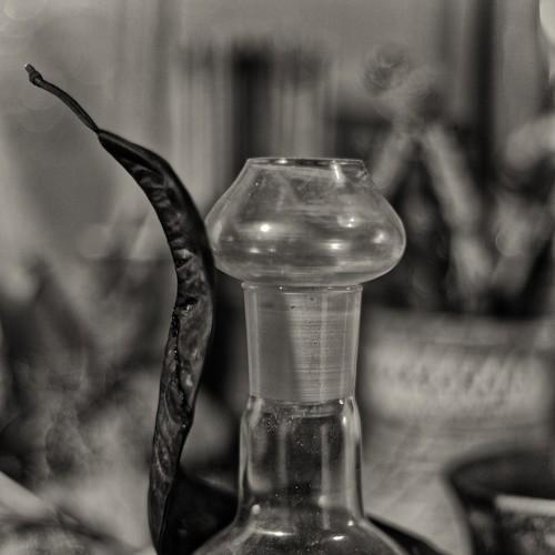 Photo #3288213