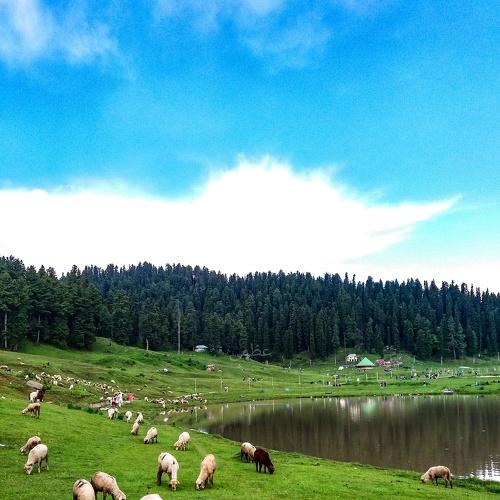 Photo #3288451