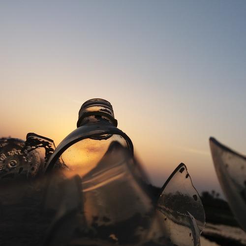 Photo #3288642