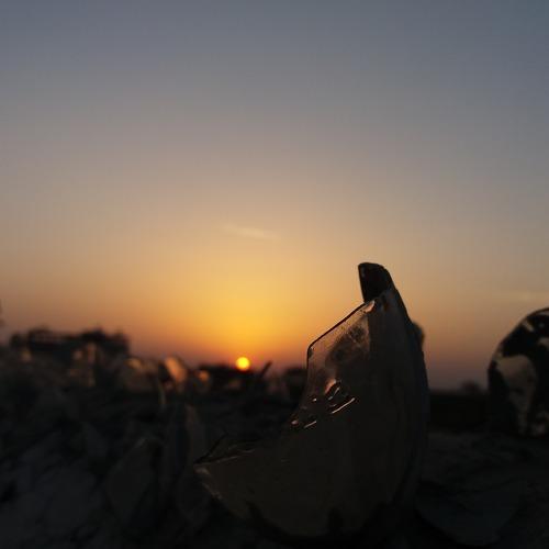 Photo #3288645