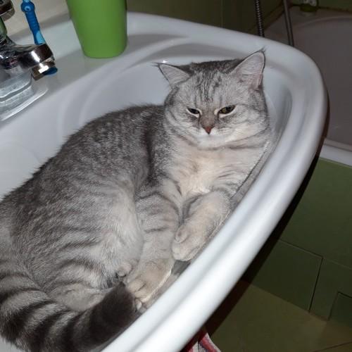Photo #3289835