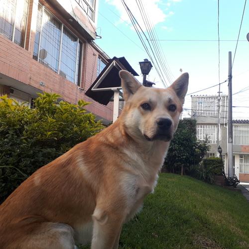 El flaco llamado riley