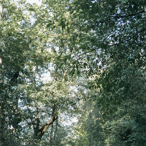 Photo #3290295