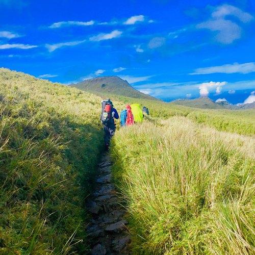 Pulag Hikers