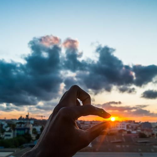 Hold my sun