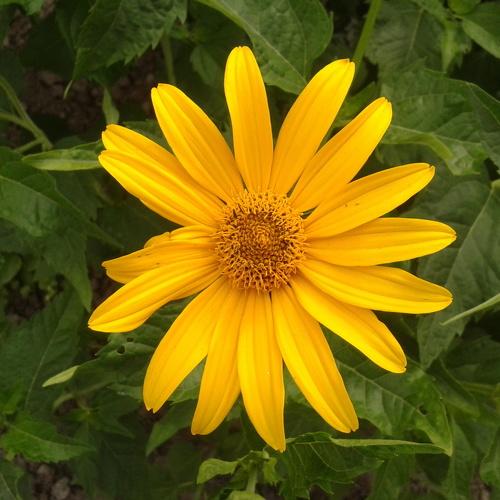 Photo #3294598