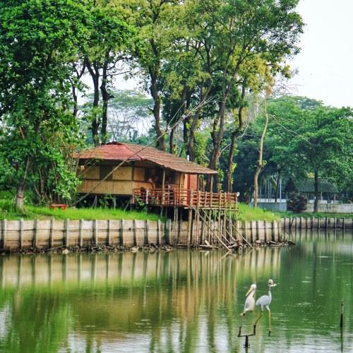 Photo #3294863