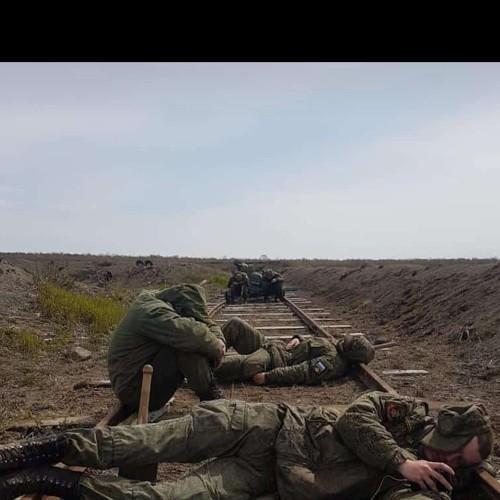 Год жизни