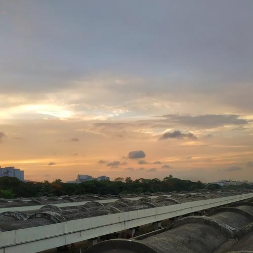 Photo #3295314