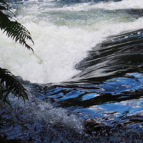 Swirl and flow