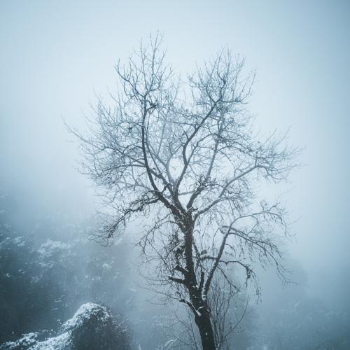 Heart of Winter