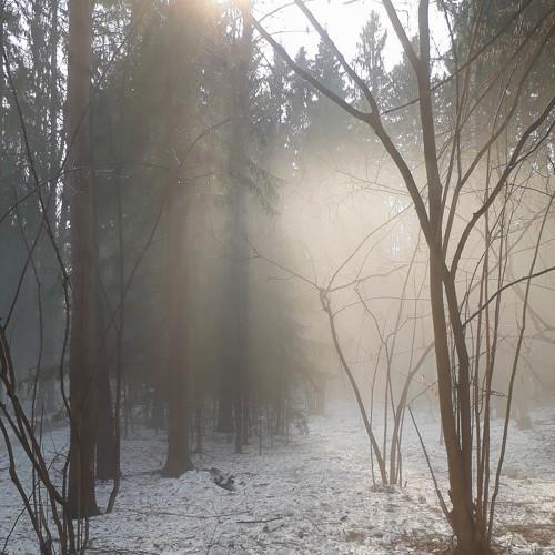 Photo #3296674