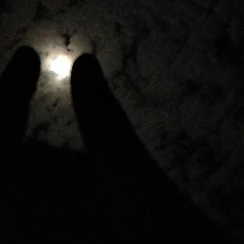 Wonders of Night
