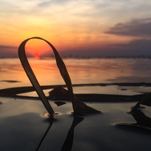 Peacefully sunset