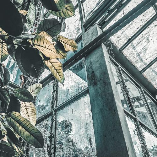 House of Glass
