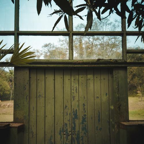 Wooden Door