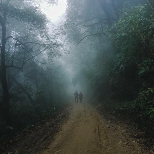Walking in a mist