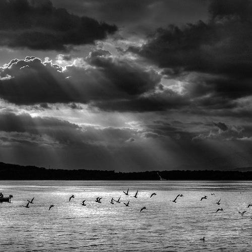 Lago