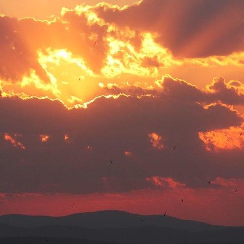 Photo #3297252