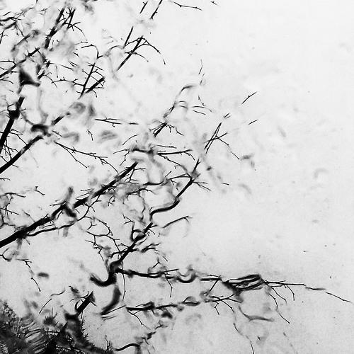 Photo #3297744