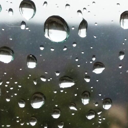 Photo #3297746