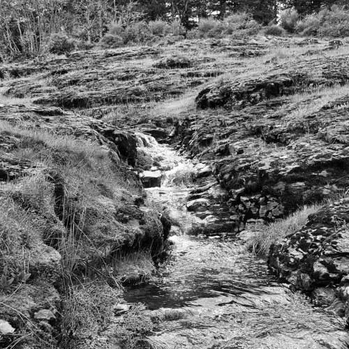 Creekside