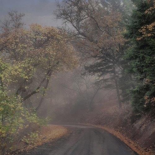 Misty way