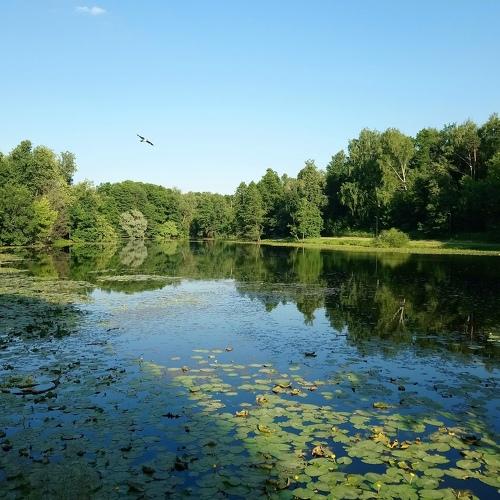 Photo #3297795