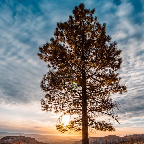 Sunrise at Bryce Canyon National Park