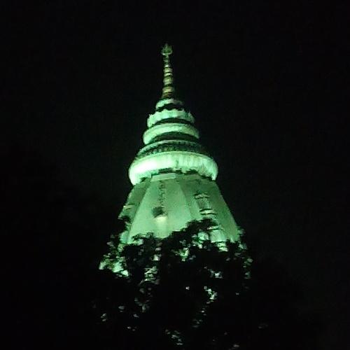 Night beauty