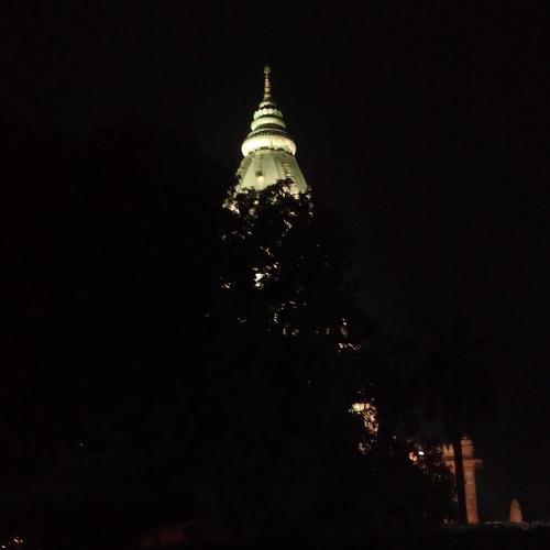 Night beauty