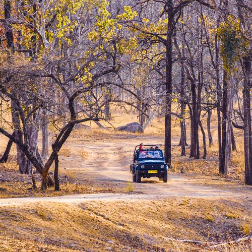 Safari Ride