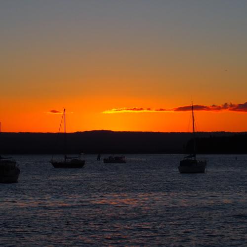 Alluring hue of orange