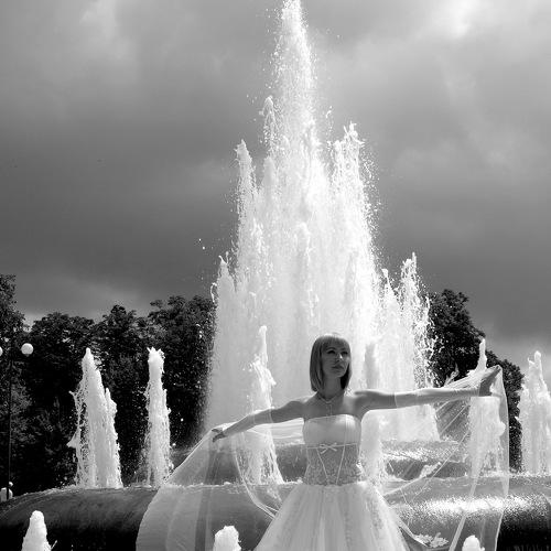 Photo #3298865